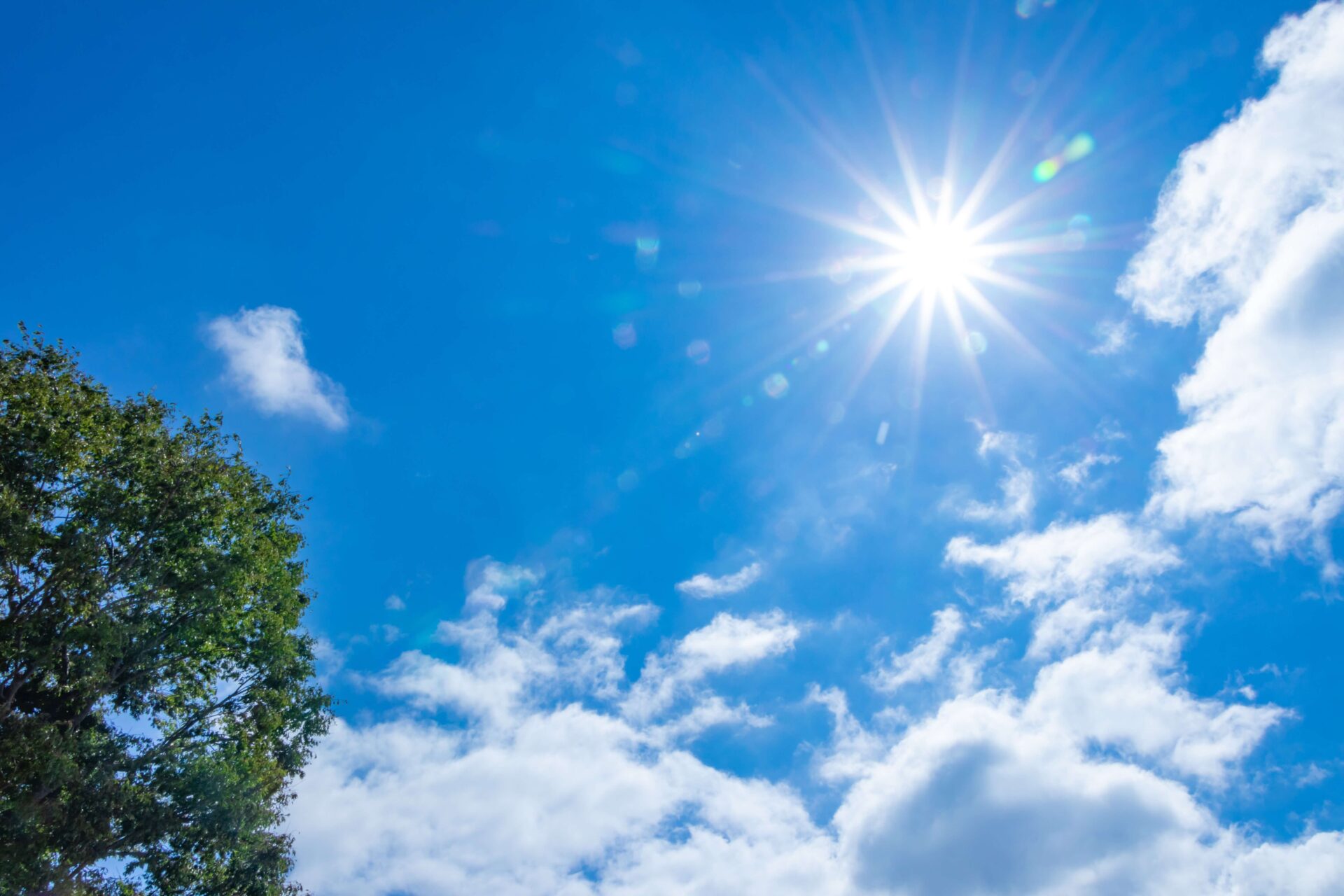 青空と太陽がある画像の左側に木の上部が写っている